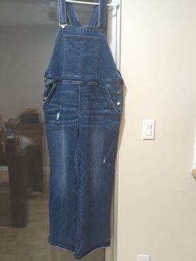 Universal Standard Light Blue Denim Overalls with Brown Stitching